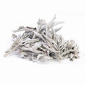 Loose White Sage