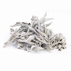 Loose White Sage
